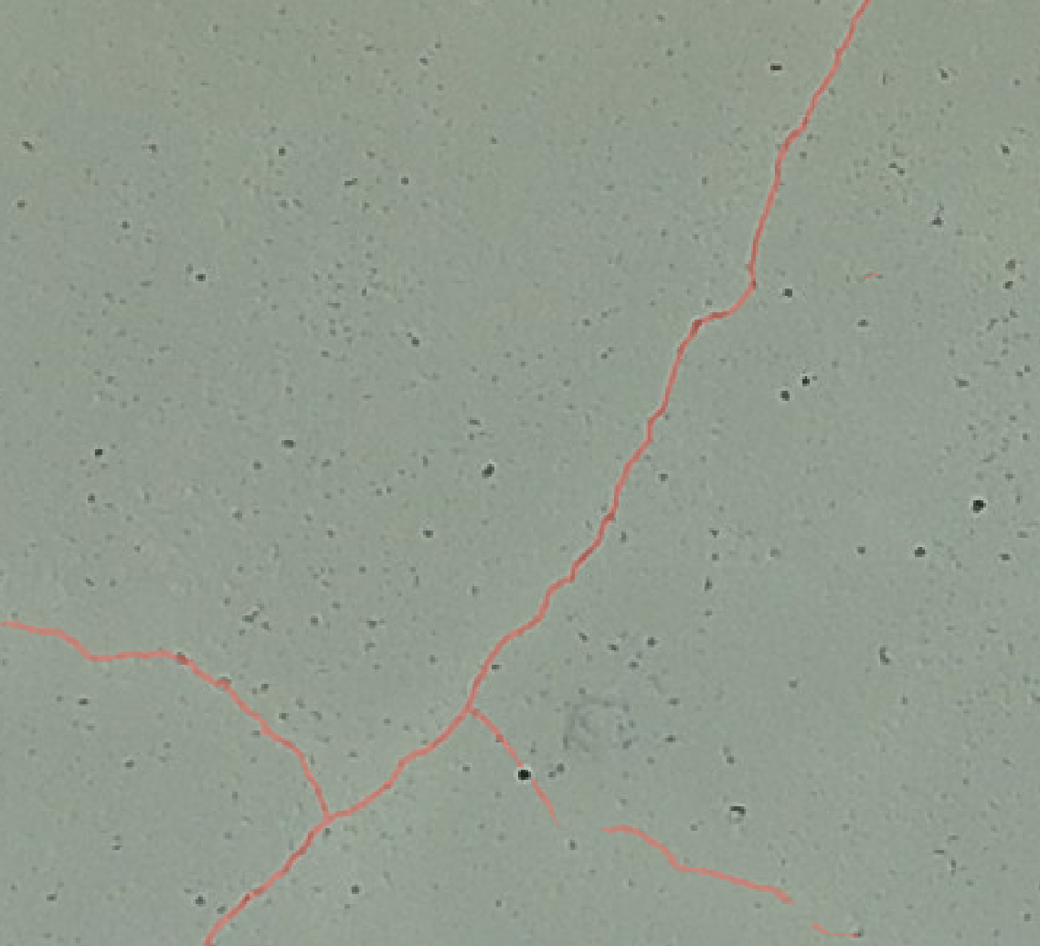 AI-detected crack pattern overlaid on the inspection image.